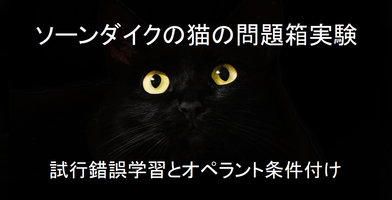 ソーンダイク 猫