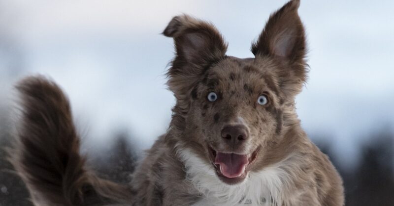 水恐怖症はどのように治療されますか?